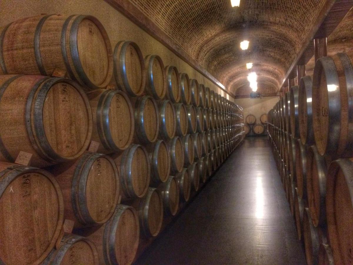 Tubilla del Lago Apartamento Ribera Del Duero Reserva מראה חיצוני תמונה